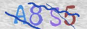 キャプチャ画像