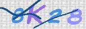 キャプチャ画像
