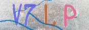 キャプチャ画像