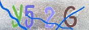 キャプチャ画像