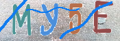 キャプチャ画像