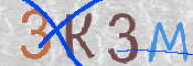 キャプチャ画像