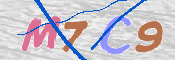 キャプチャ画像