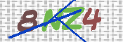 キャプチャ画像