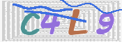キャプチャ画像