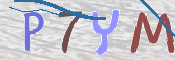 キャプチャ画像