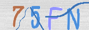キャプチャ画像