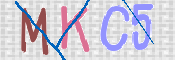 キャプチャ画像