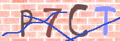 キャプチャ画像