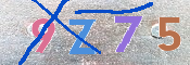 キャプチャ画像