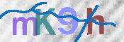 キャプチャ画像