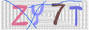 キャプチャ画像