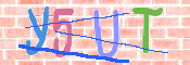 キャプチャ画像