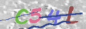 キャプチャ画像
