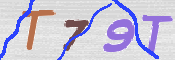 キャプチャ画像
