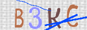 キャプチャ画像