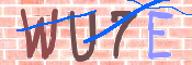 キャプチャ画像