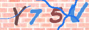 キャプチャ画像