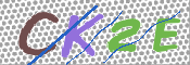 キャプチャ画像