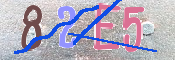 キャプチャ画像