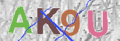 キャプチャ画像