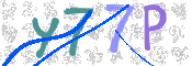 キャプチャ画像