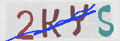 キャプチャ画像