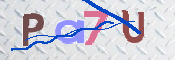キャプチャ画像