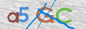 キャプチャ画像