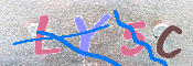 キャプチャ画像