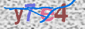 キャプチャ画像
