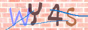 キャプチャ画像