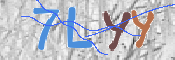 キャプチャ画像