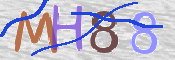キャプチャ画像