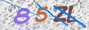キャプチャ画像