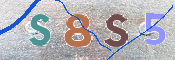 キャプチャ画像
